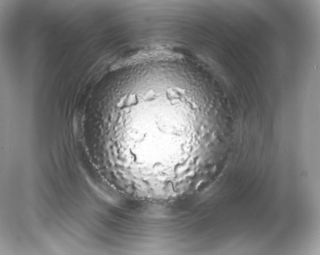 X0000081620166200701291502