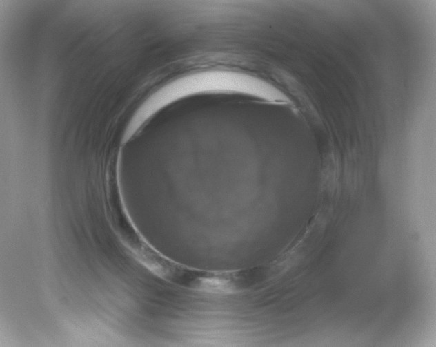 X0000081620167200701291502