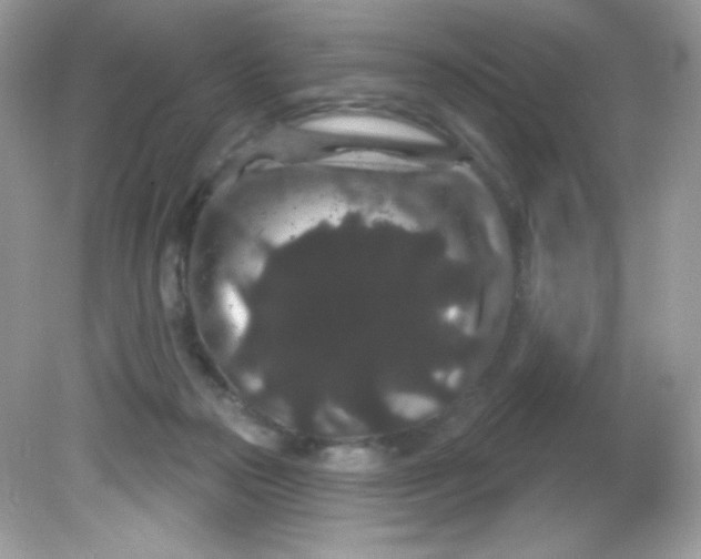 X0000081620169200701291502