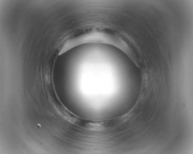 X0000081620170200701291502