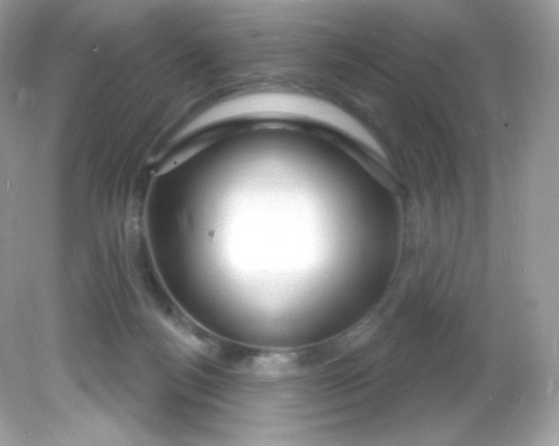X0000081620172200701291502