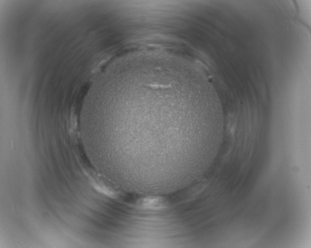 X0000081620173200701291502