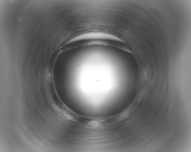 X0000081620176200701291502