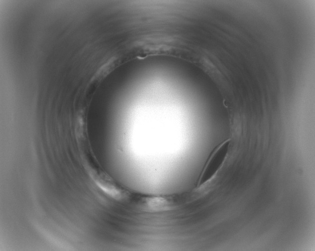 X0000081620183200701291502