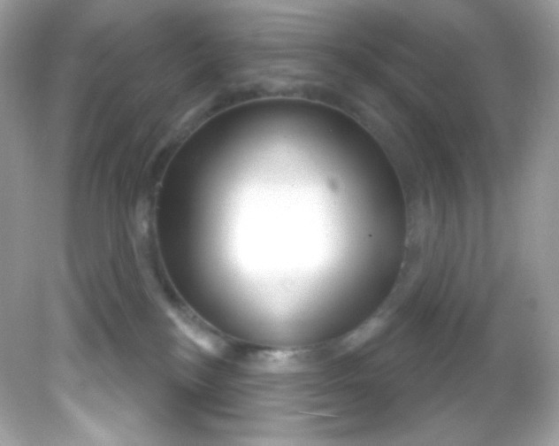 X0000081620184200701291502