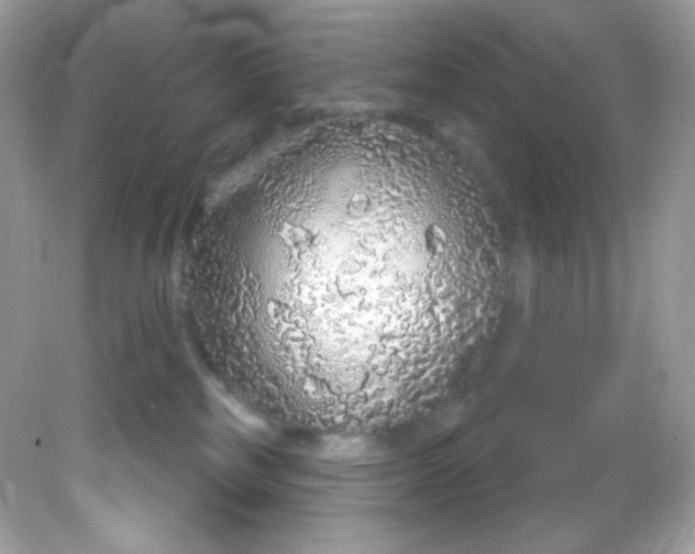 X0000081620185200701291502
