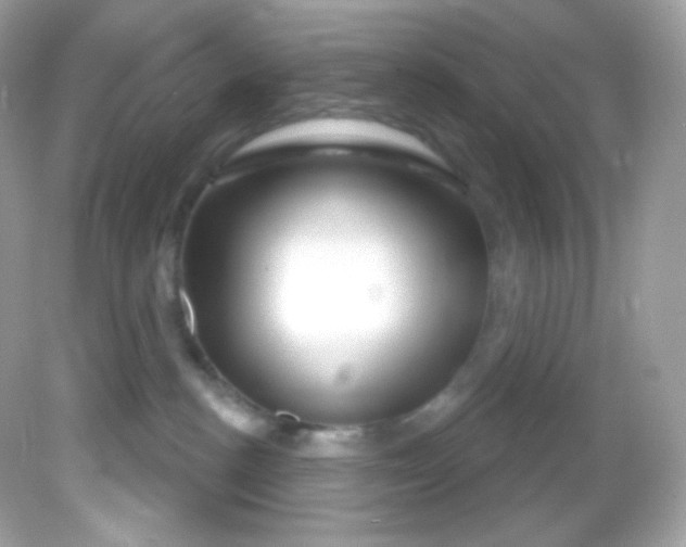 X0000081620188200701291502