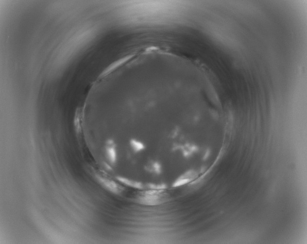 X0000081620191200701291502
