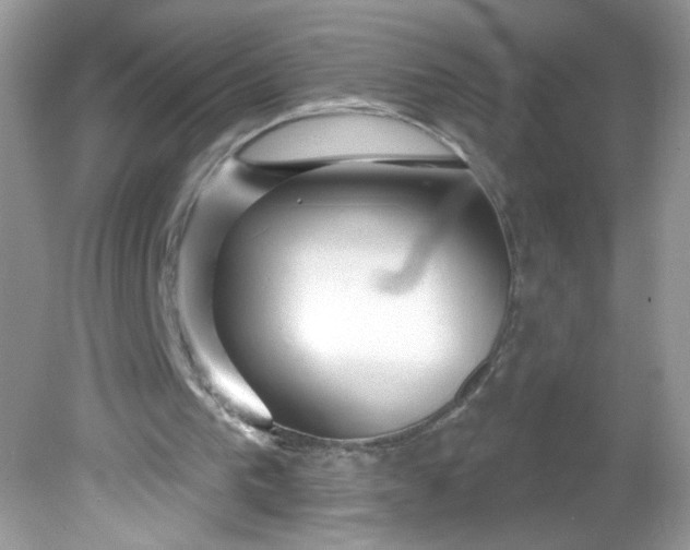X0000081620193200701291502