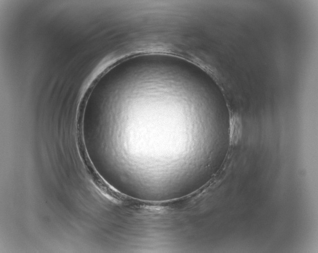 X0000081620195200701291502