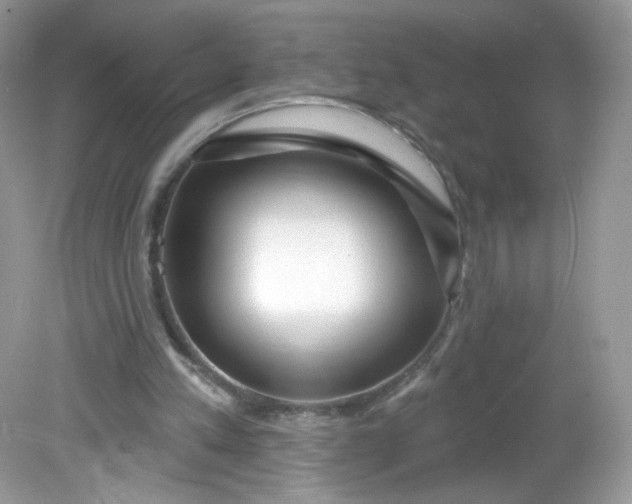 X0000081620197200701291501