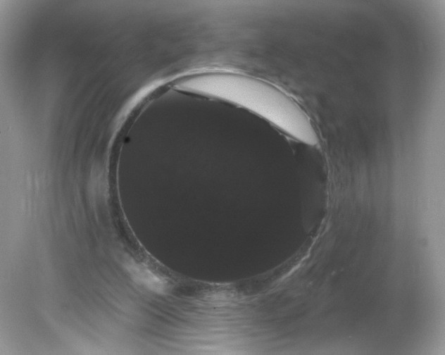 X0000081620200200701291501