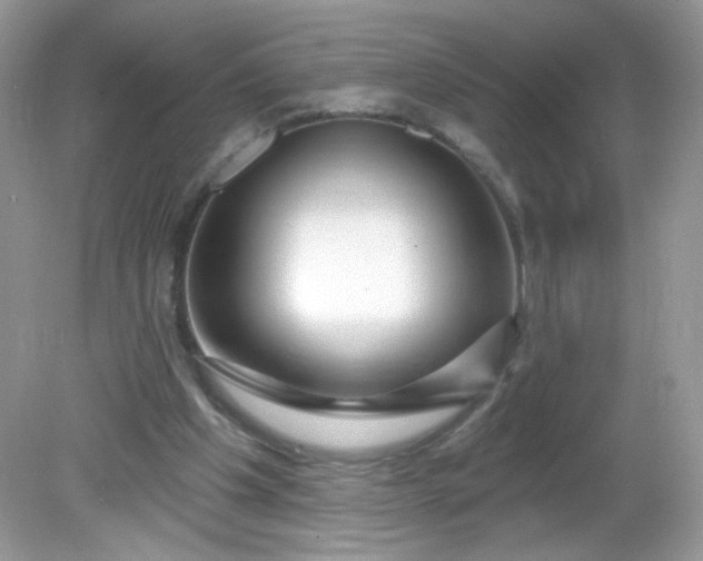 X0000081620201200701291501