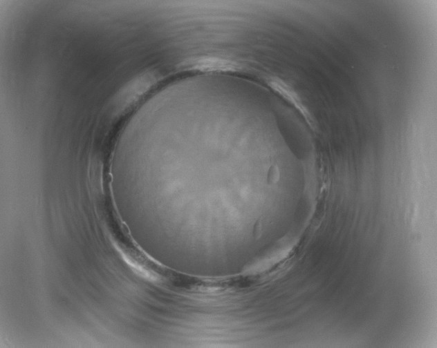 X0000081620205200701291501
