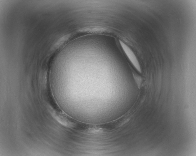 X0000081620206200701291501