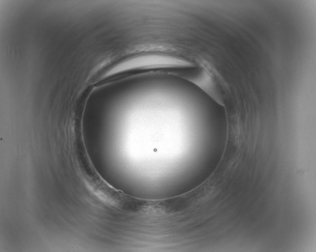 X0000081620207200701291501