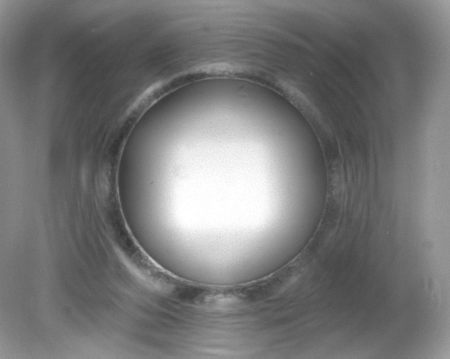 X0000081620208200701291501