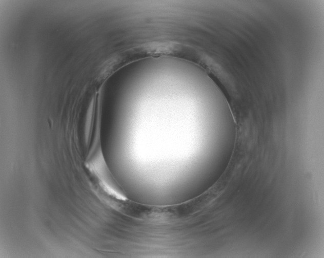 X0000081620209200701291501