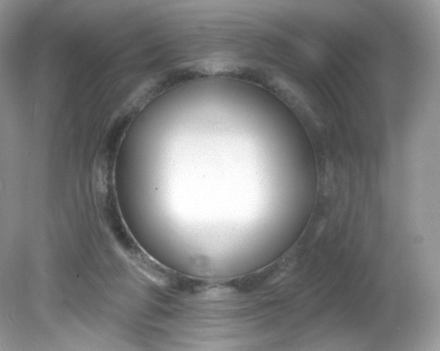 X0000081620210200701291501