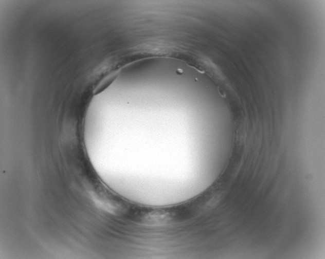 X0000081620213200701291501