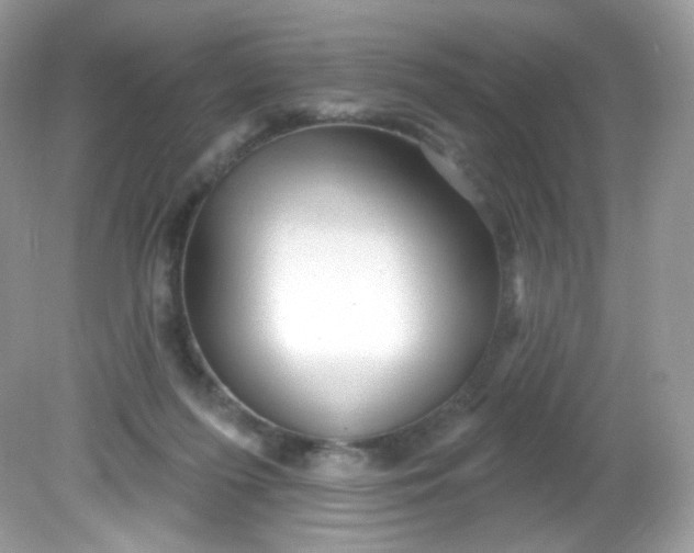 X0000081620215200701291501