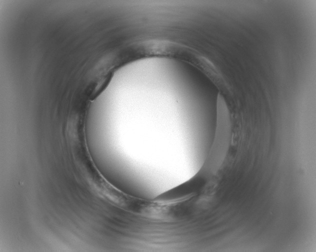 X0000081620217200701291501