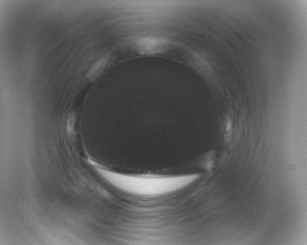 X0000081620219200701291501