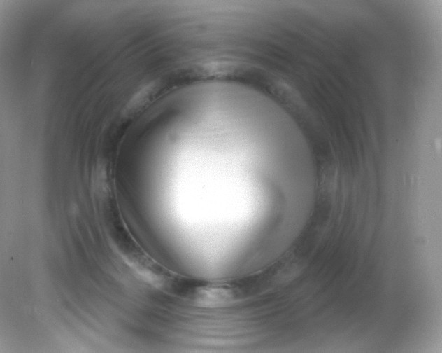 X0000081620220200701291501