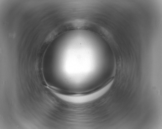 X0000081620221200701291501