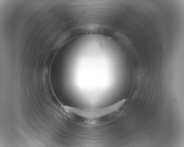 X0000081620225200701291501