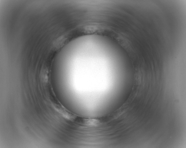 X0000081620226200701291501