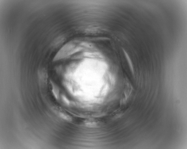 X0000081620228200701291501