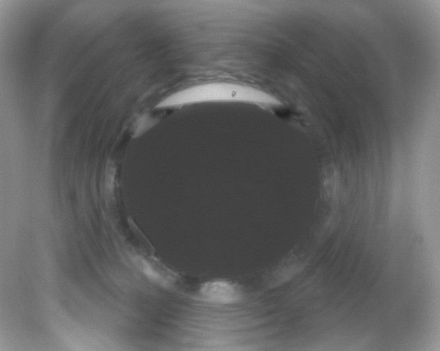 X0000081620231200701291501