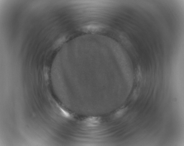 X0000081620232200701291501