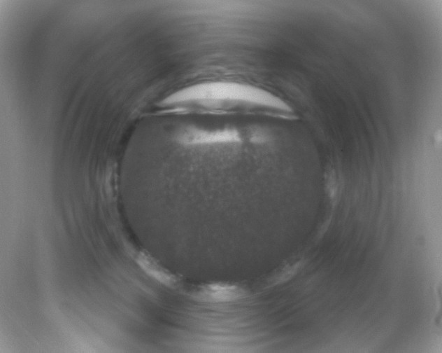 X0000081620233200701291501