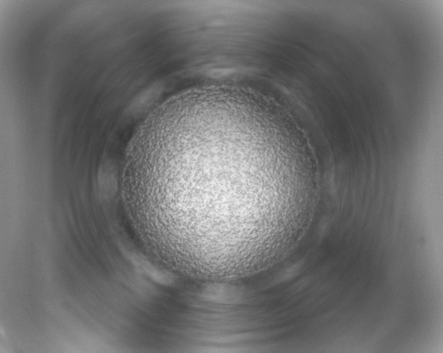 X0000081620234200701291501