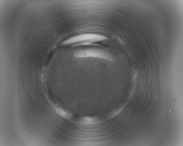 X0000081620237200701291501