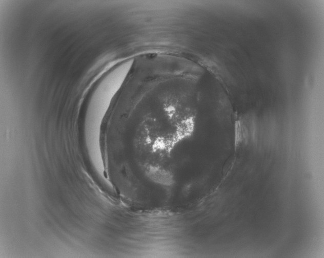 X0000081620243200701291500
