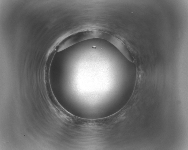 X0000081620244200701291500