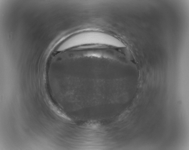 X0000081620247200701291500