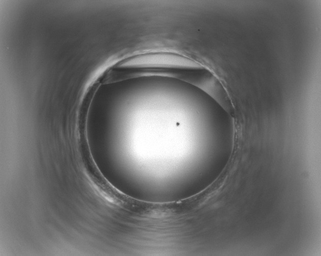 X0000081620248200701291500
