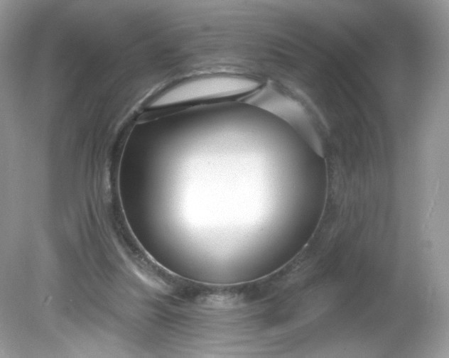 X0000081620251200701291500