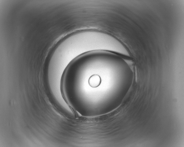X0000081620252200701291500