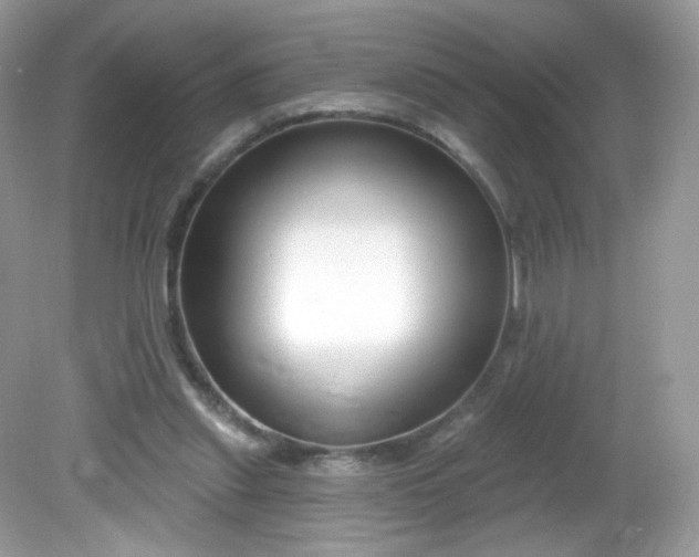 X0000081620253200701291500