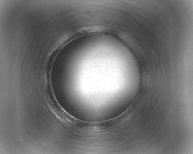 X0000081620254200701291500