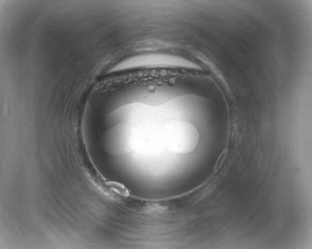 X0000081620257200701291500