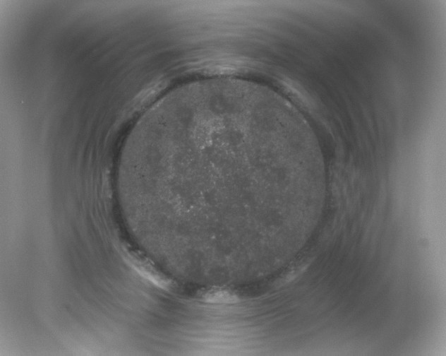 X0000081620258200701291500