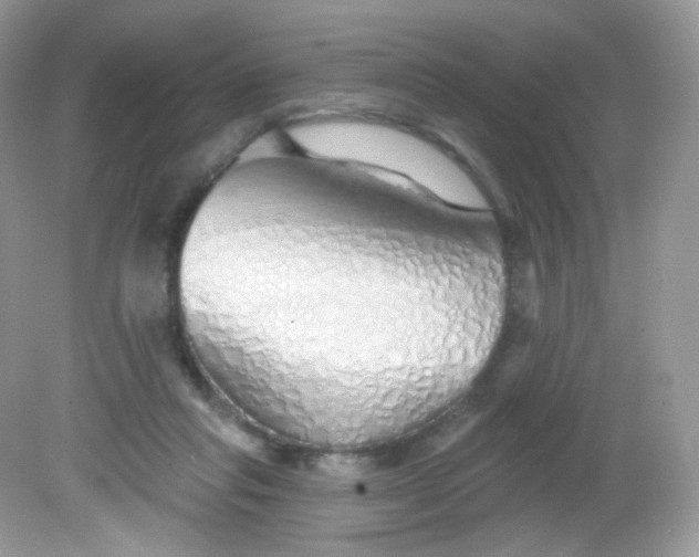 X0000081620261200701291500