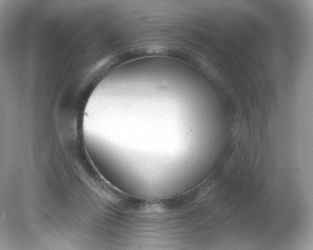 X0000081620262200701291500