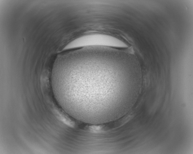 X0000081620265200701291500
